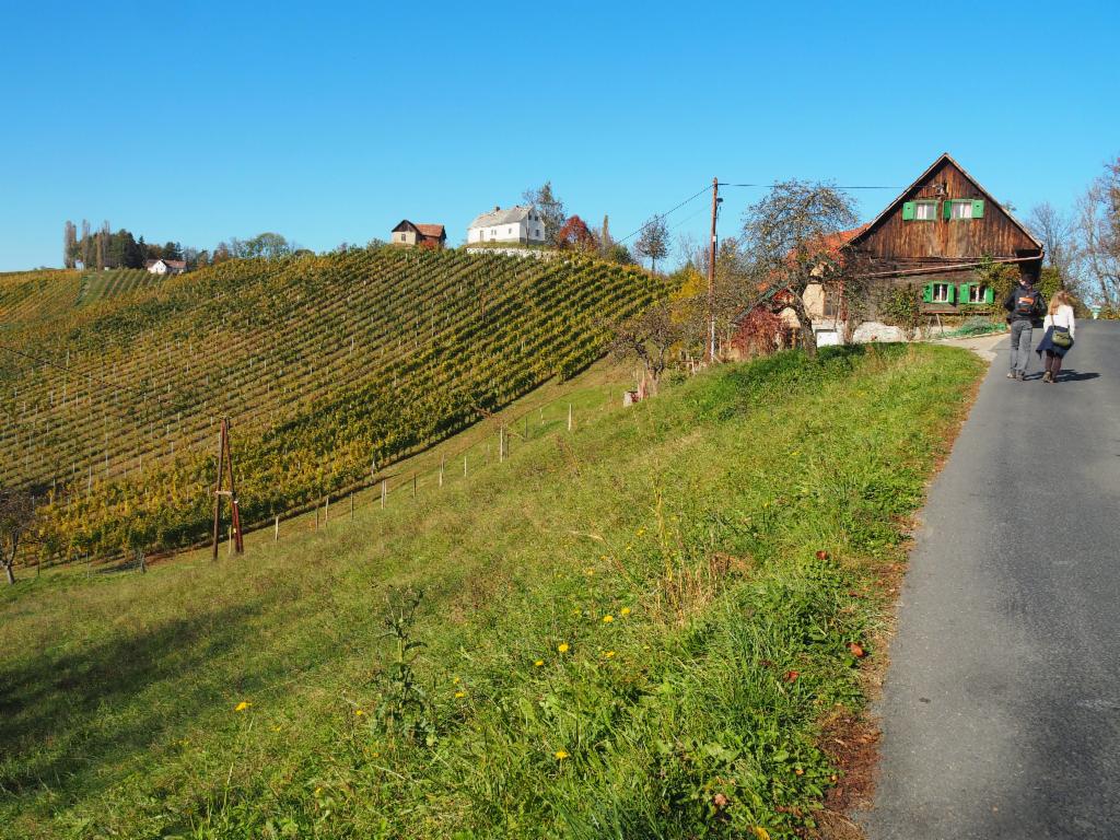 Weinberg am Pößnitzberg