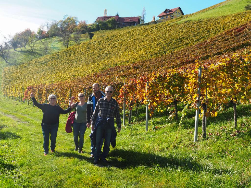 Wanderung durch die Weinberge zum Eory-Kogel