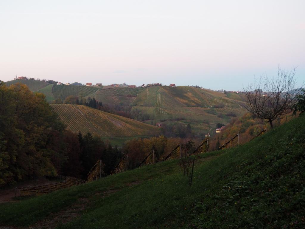 Blick zurück zum Glanzberg