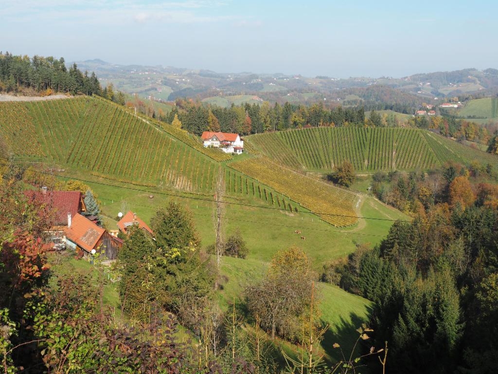 Weinberge am Hirritschberg