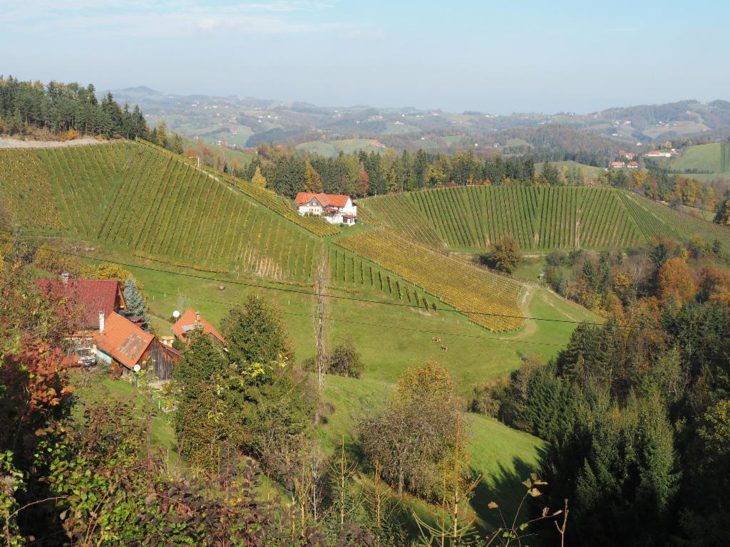 Weinberge am Hirritschberg