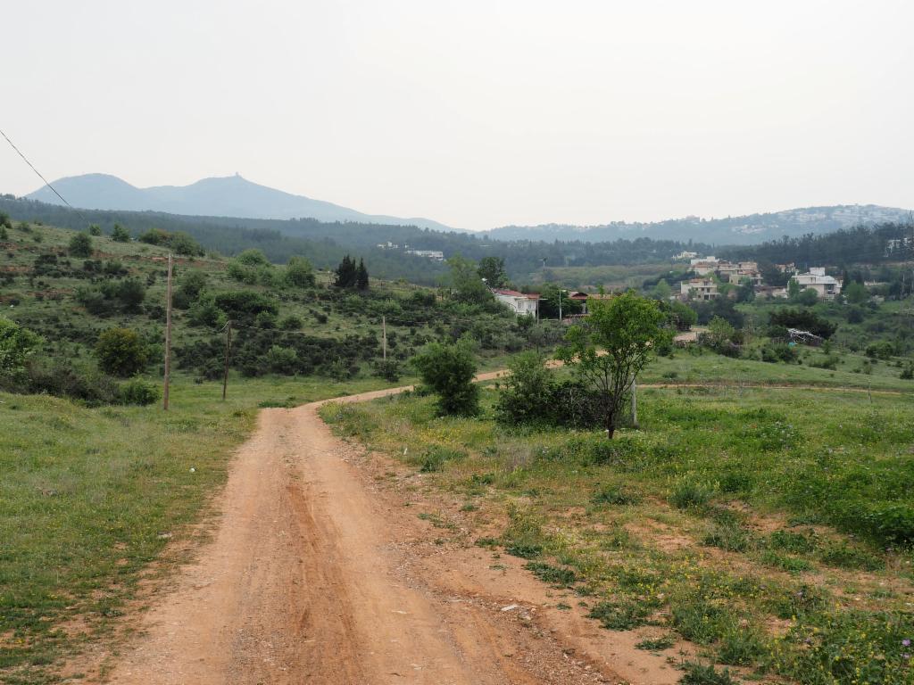 Dirt road