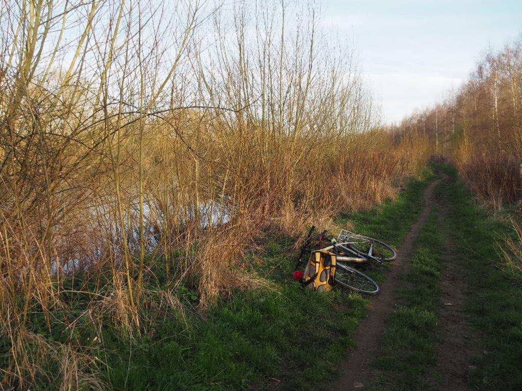 Towpath between Radley and Sandford