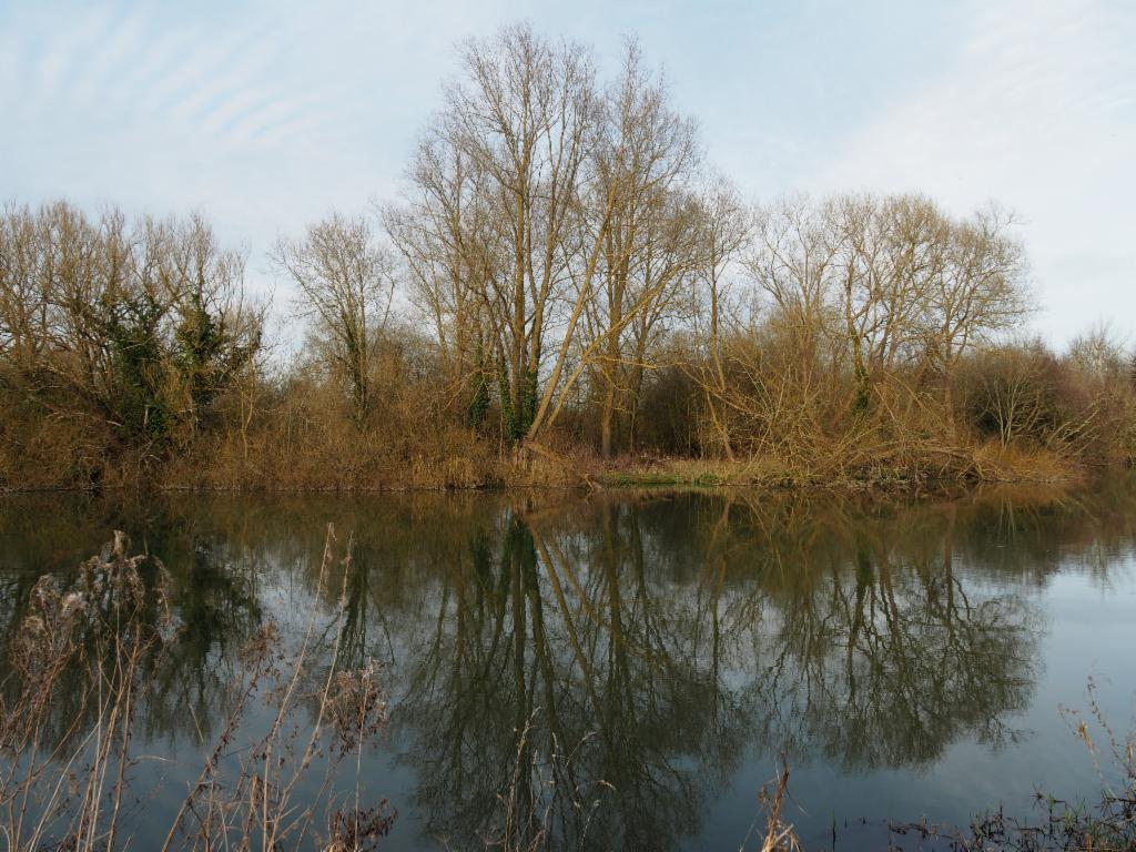 Thames between Culham and Abingdon