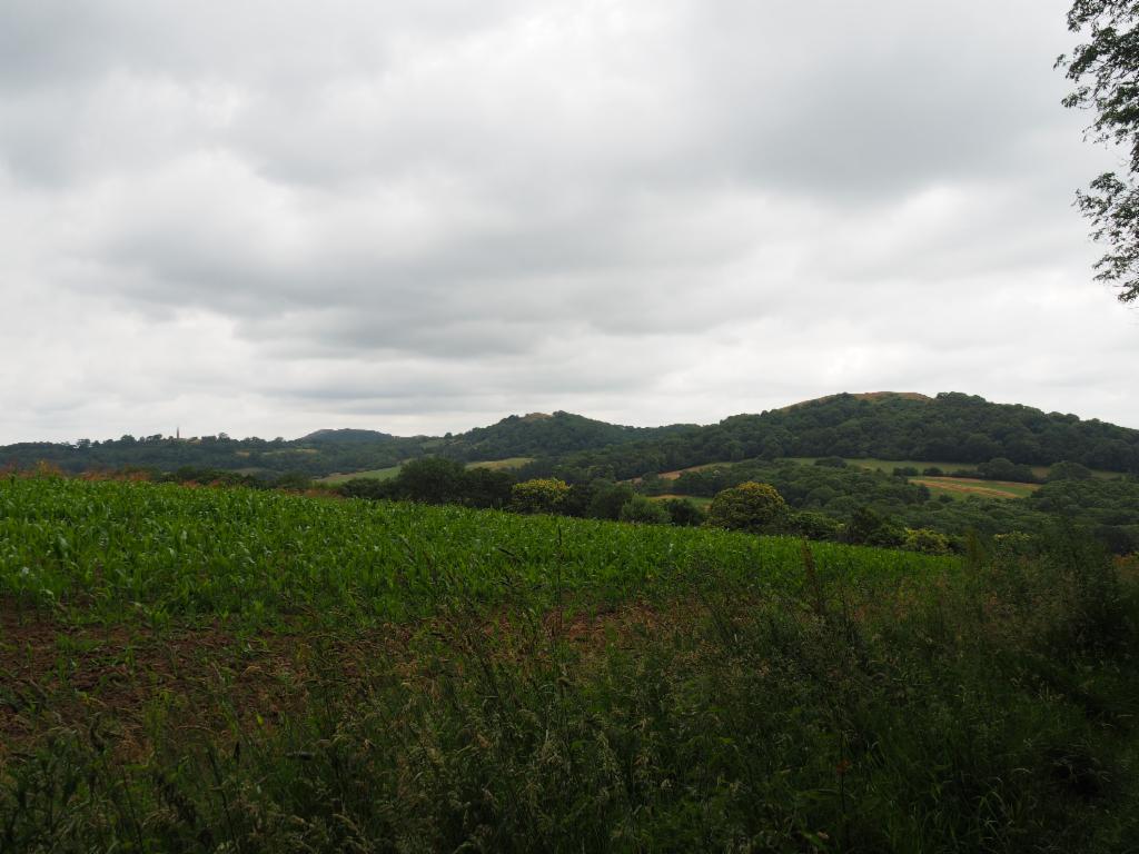 View from Bromsberrow Hill towards Ragged Stone Hill and Chase End Hill