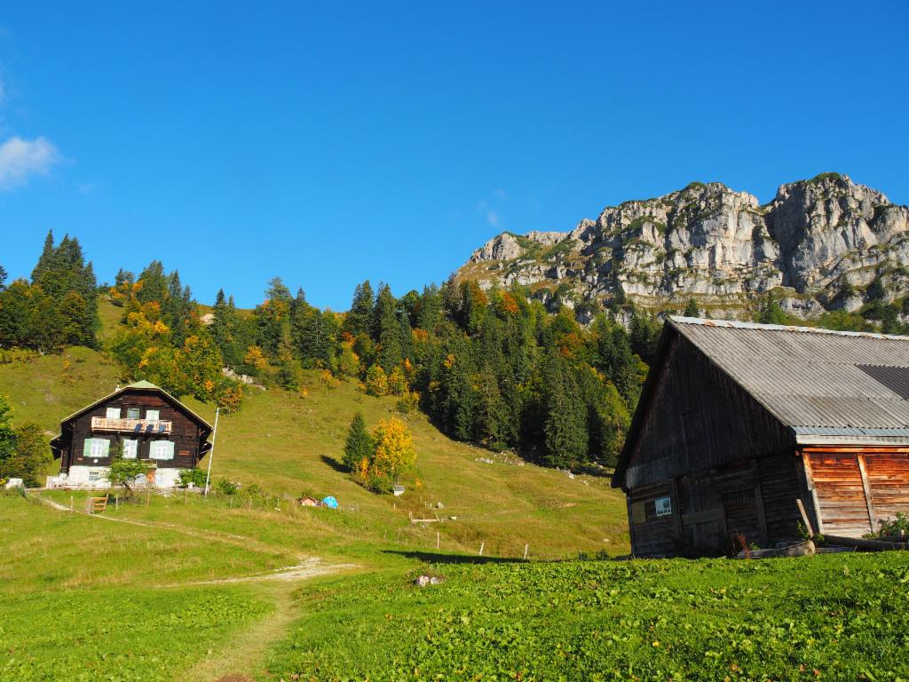 Grabneralm