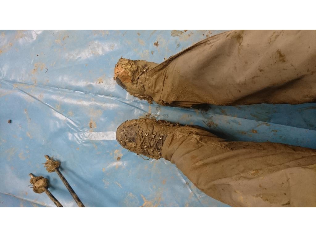 Muddy shoes