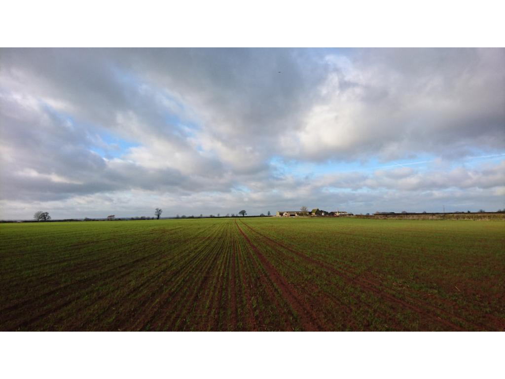 Field towards Wardington