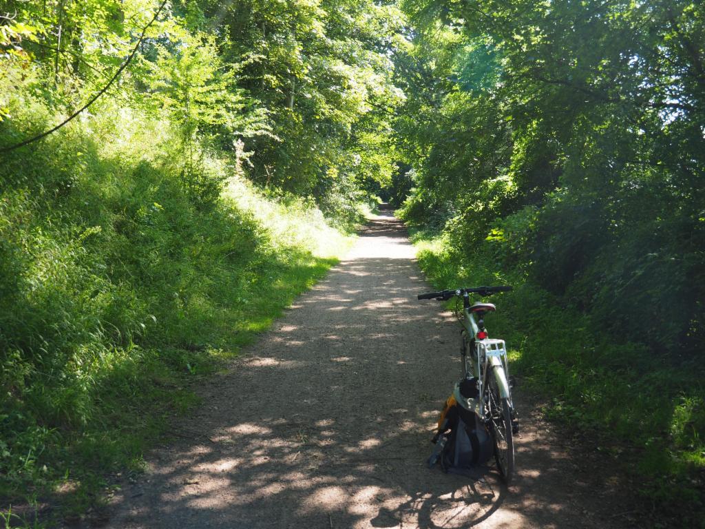 Old railway track