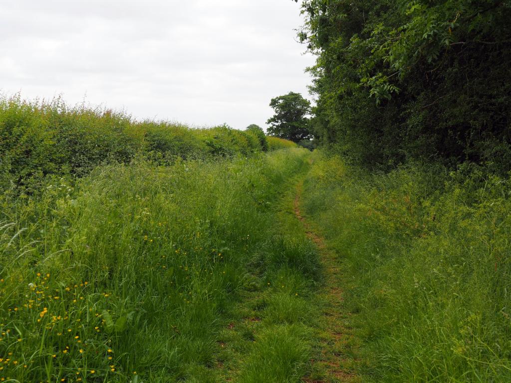Path from Clifton to Aston