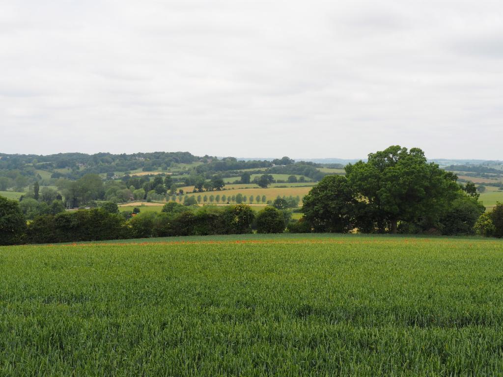 View across Cherwell Valley towards the west from above Somerton