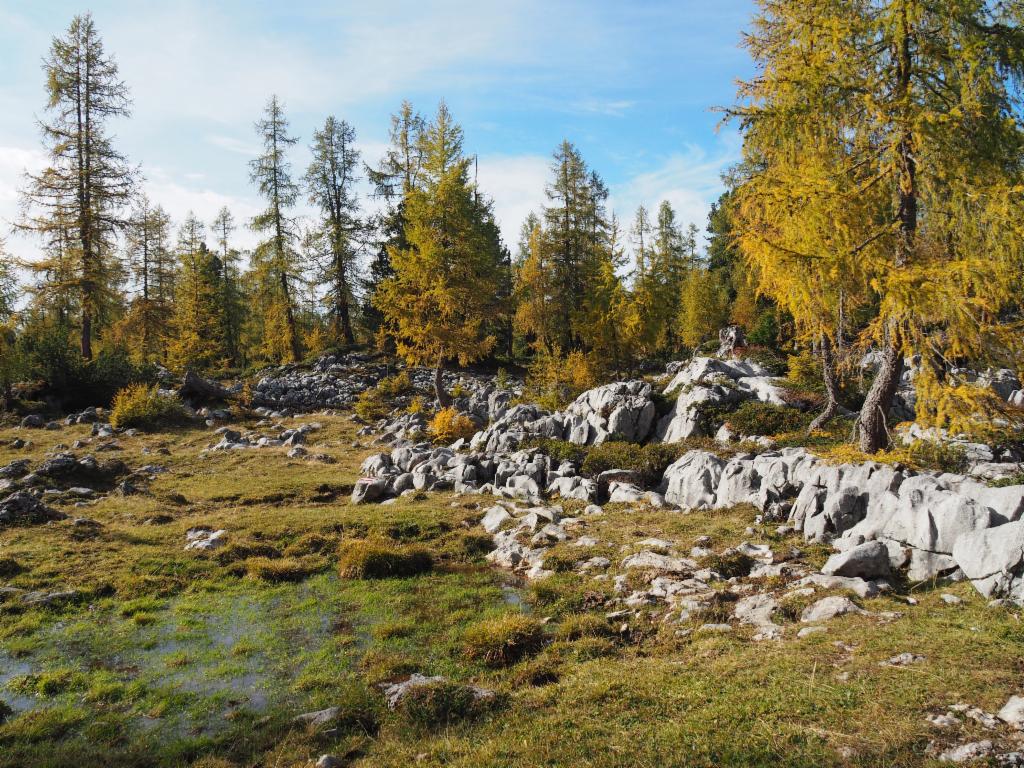 Moor, Karst und Lärchenwälder