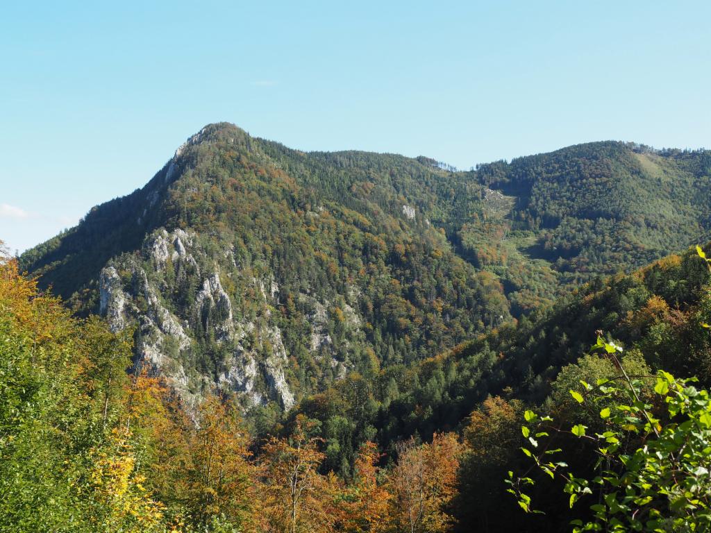 Hohe Dirn von der Abfahrt