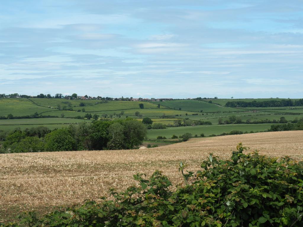 View from Winchendon towards Ashendon