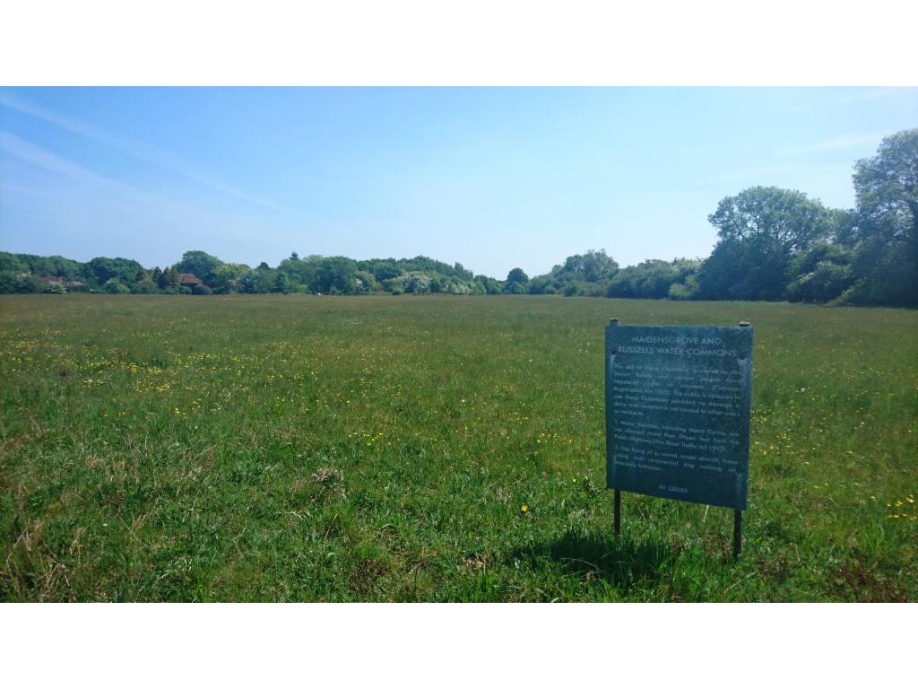 Maidensgrove Common