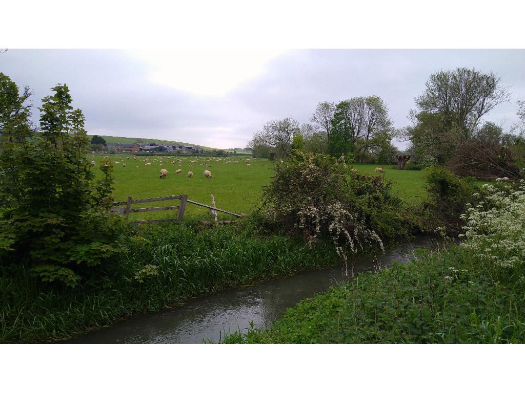 River Swere at Barford St Michael