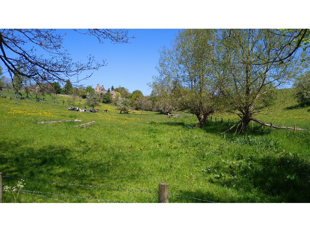 Pasturage in Radford