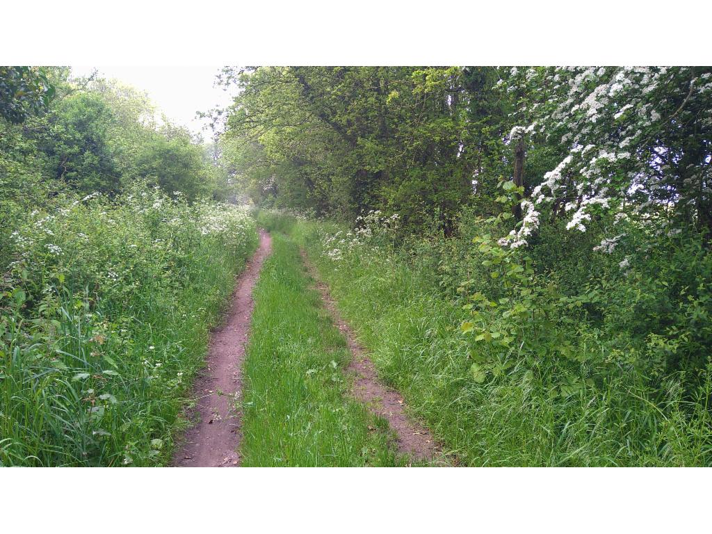 Bridleway near Woodstock