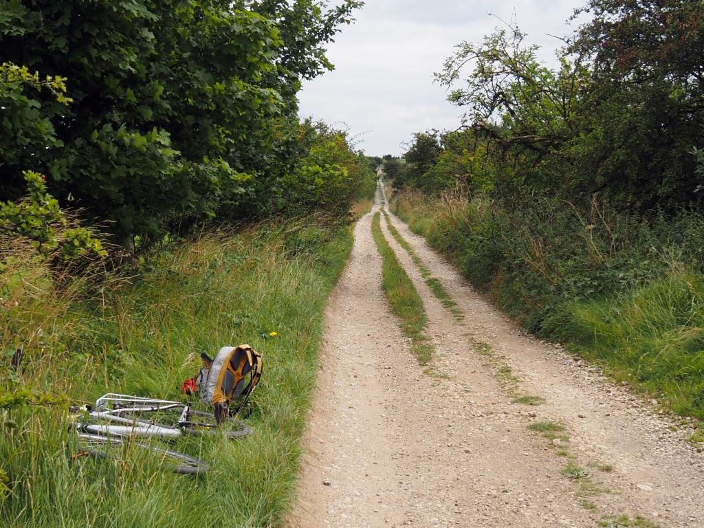 On a section of the Ridgeway after Barbury Castle