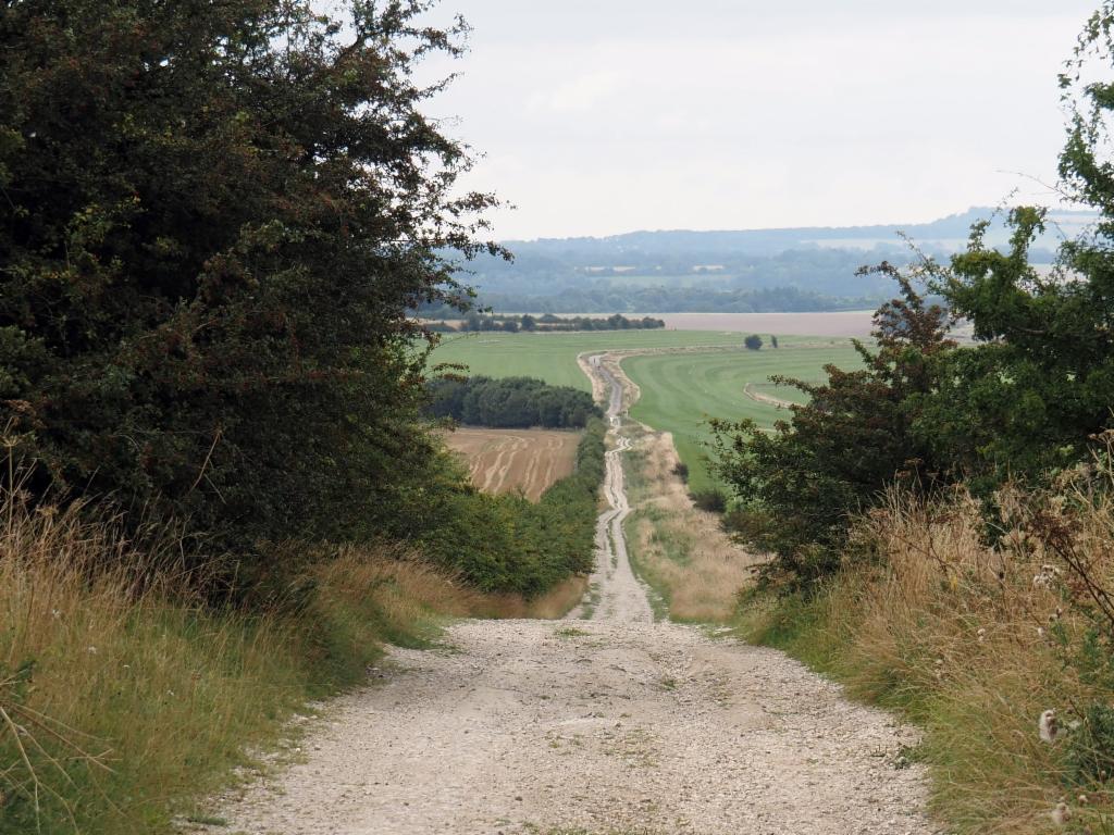 Rough descent from the Ridgeway down to Rockley