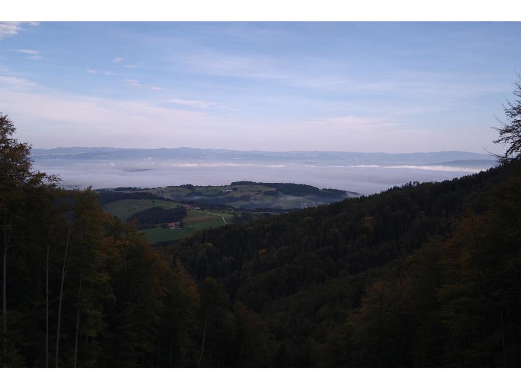 Blick ins nebelgeflutete Alpenvorland