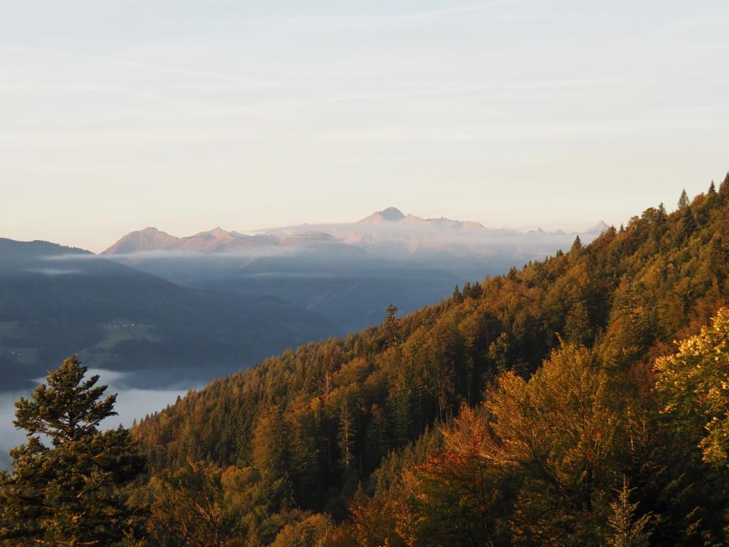 Hochwildstelle im Morgenlicht von der Grimminghütte