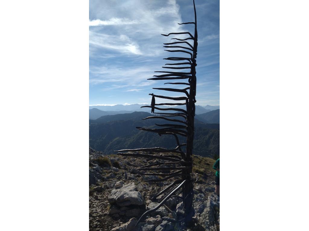 Skulptur Wetterfichte