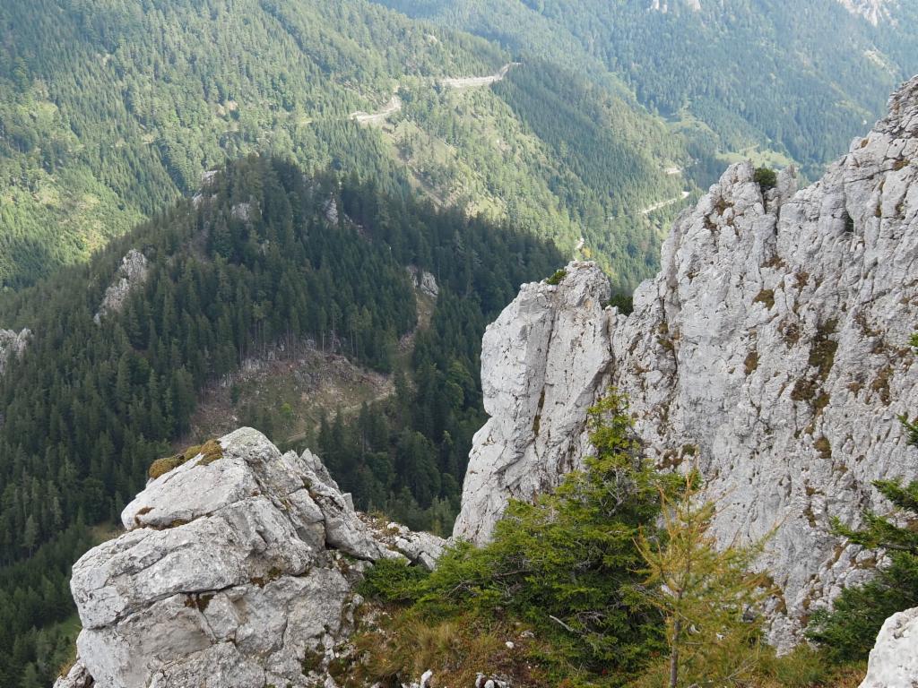Nordabstürze