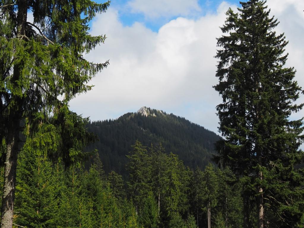 Blick zurück zum Gipfel