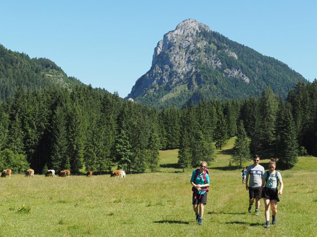 Unterberiger Alm und Sparber