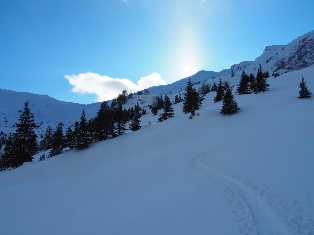 Aufstieg oberhalb der Schattneralm