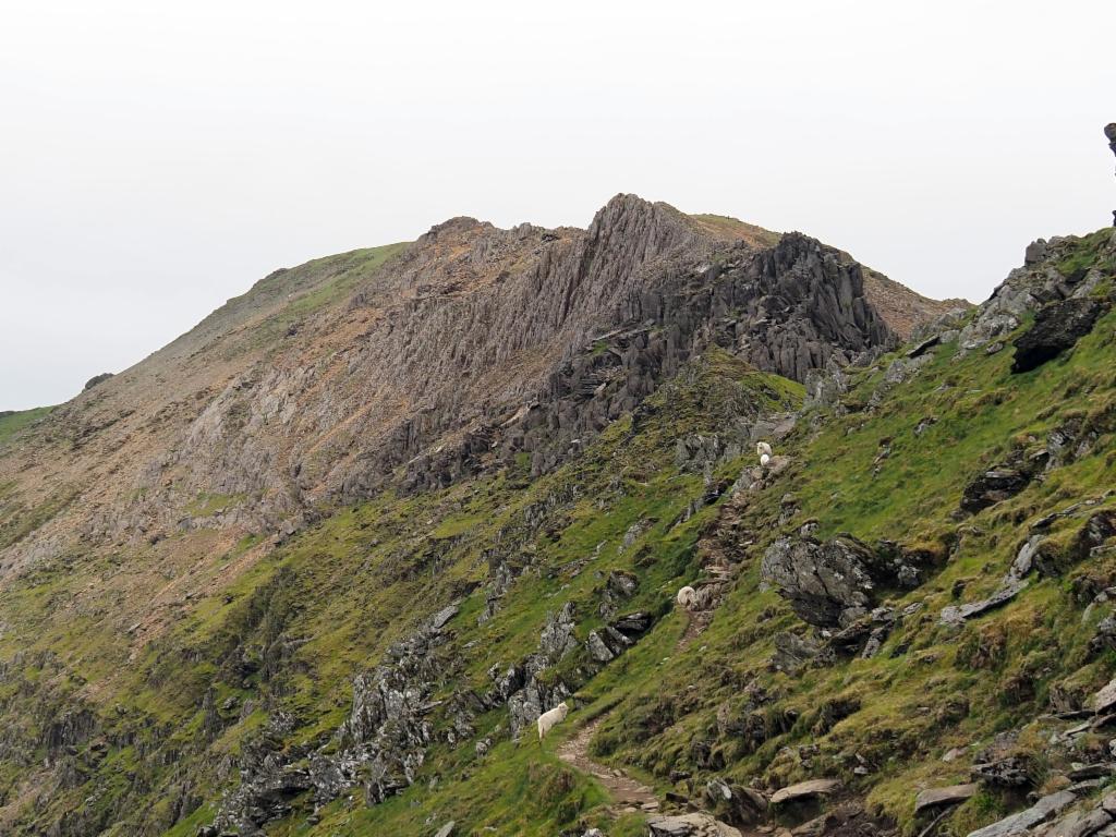 Ridge from Bwich Coch up to Crib y Ddysgi