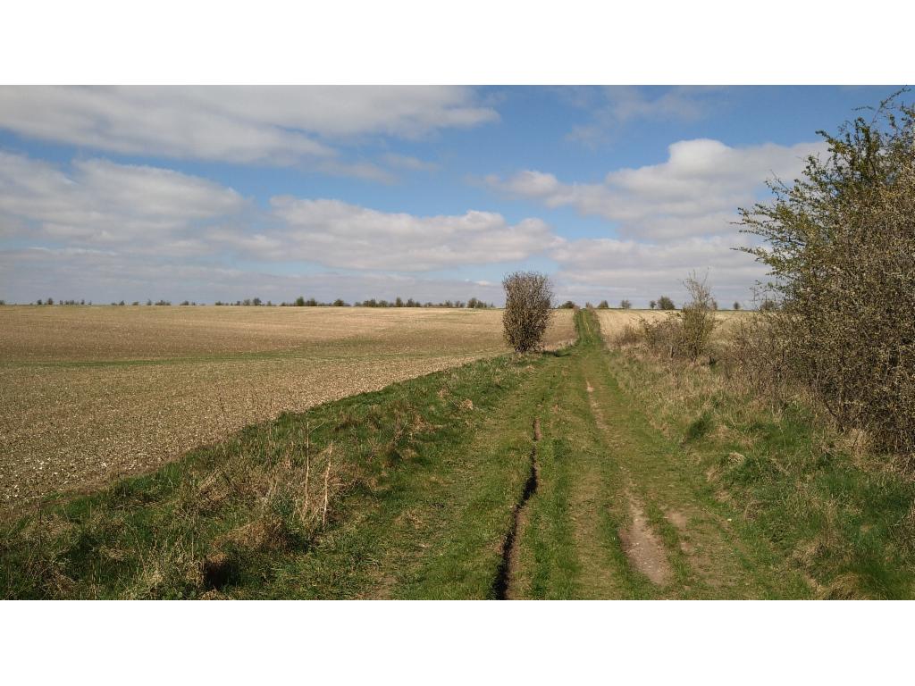 From the Ridgeway towards Blewbury