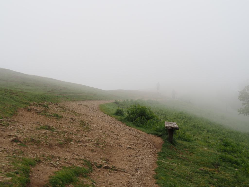 Ascent in the fog