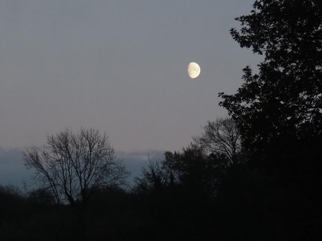 Moon rising above Maddocks Hill