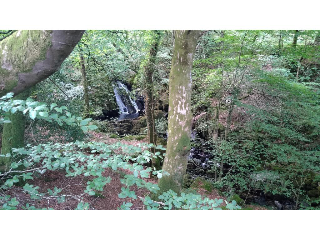 Ascent along Afon Arran