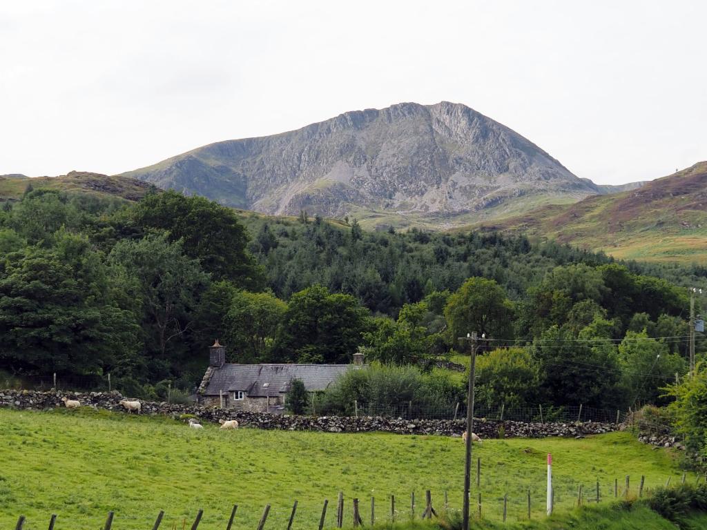 Mynydd Moel