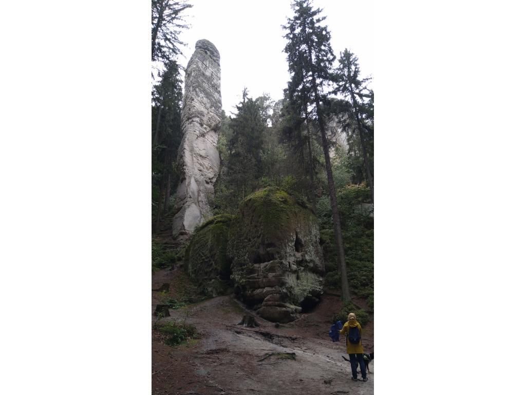 Felsnadel im Sektor Kapelník