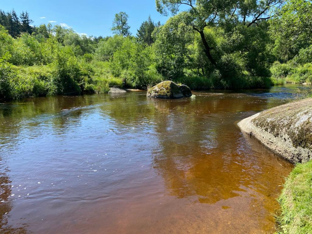 Die braunen Wasser des Kamp