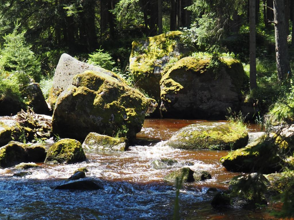 Der Kamp muss den Wackelsteinen ausweichen.