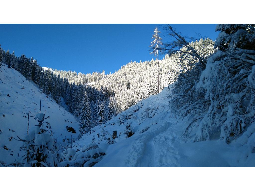 Aufstieg entlang des Sommerwegs