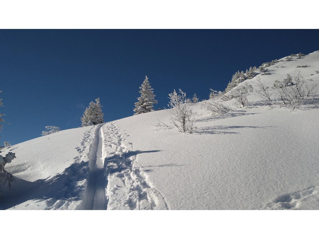 Glitzerschnee auf dem Gipfelrücken