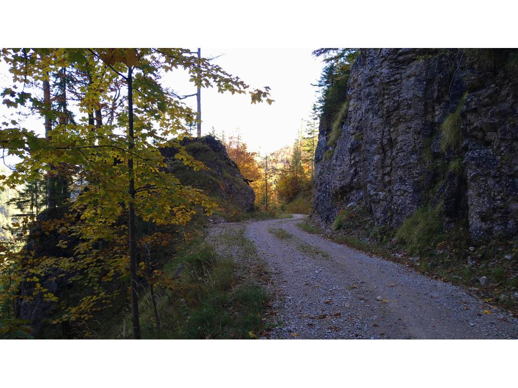 Lange Hangquerung auf der Forststraße