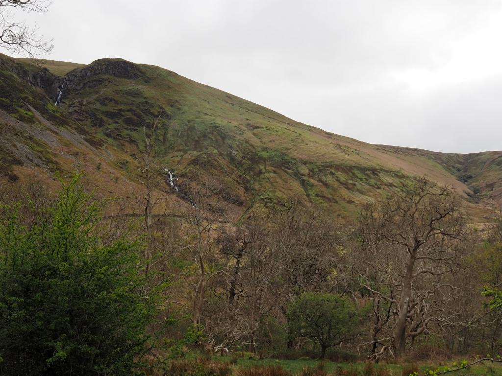 Afon Rhaeadr Bach