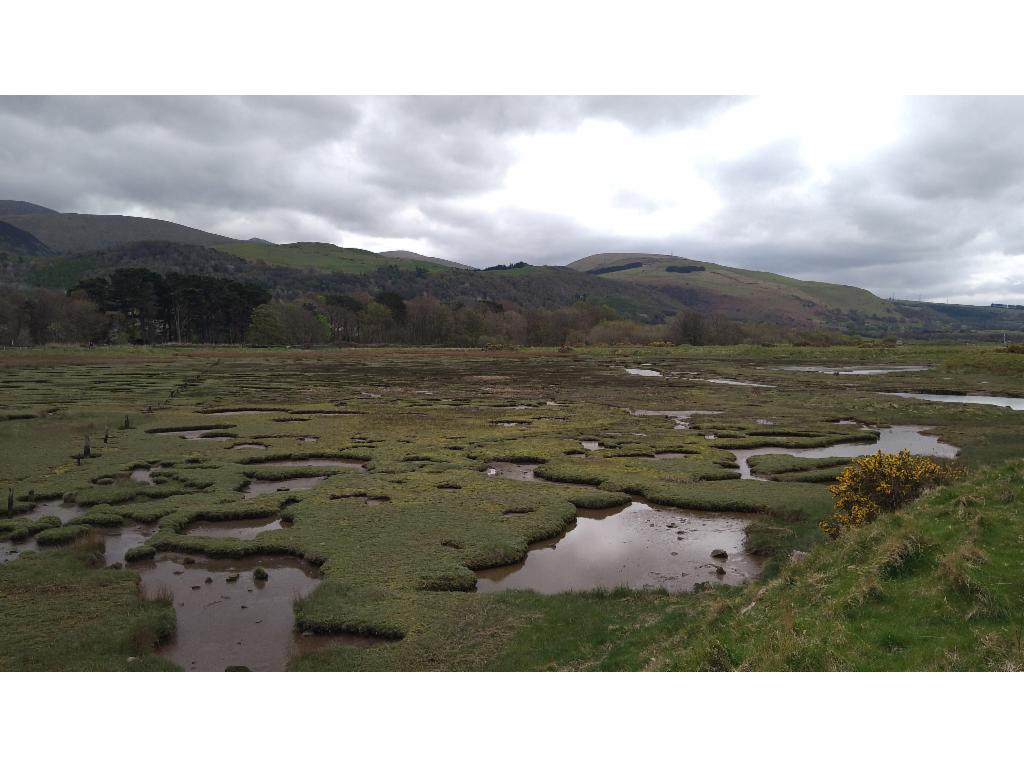 Vast swamps behind the coastline