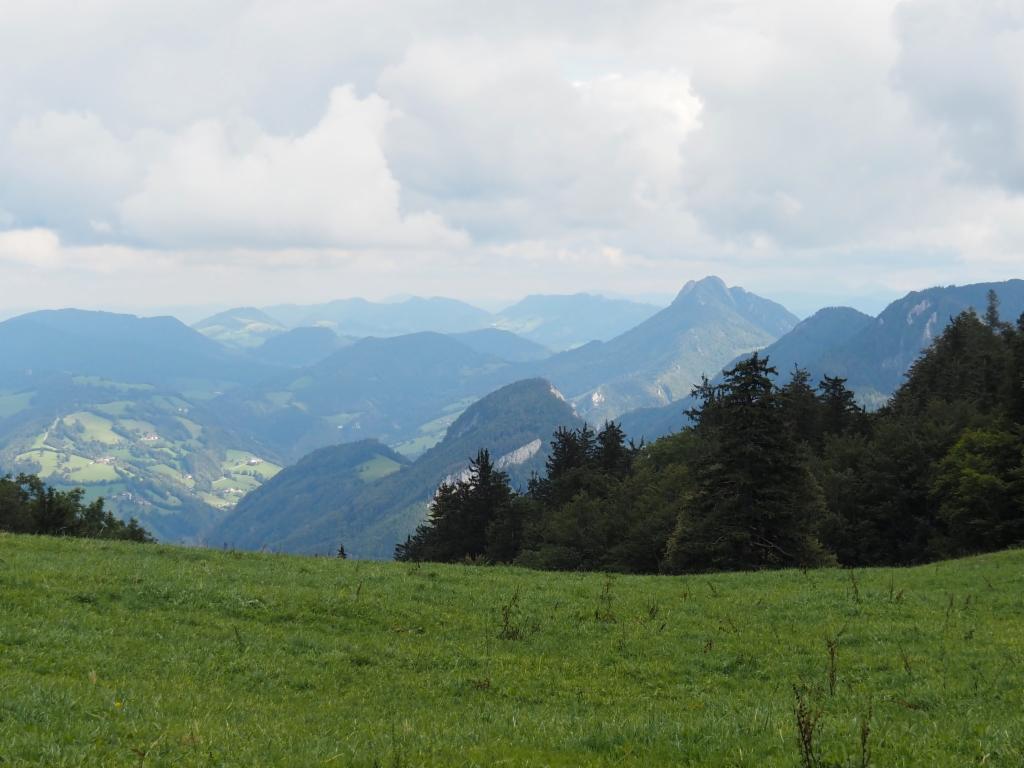 Schieferstein vom Aufstieg zum Hochbuchberg