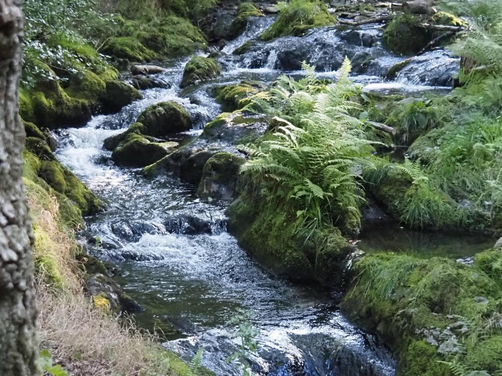 Dolgoch falls