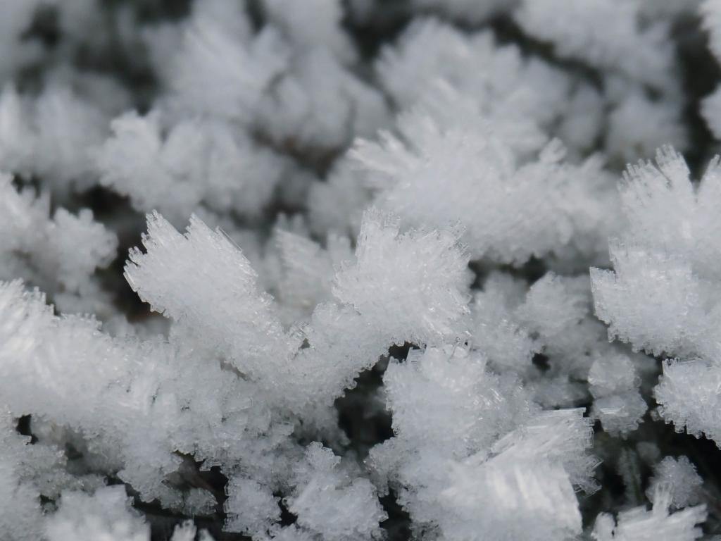 Enormous frost crystals