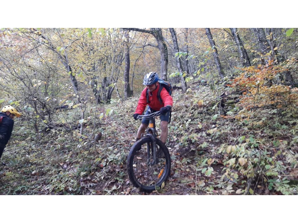 Peter dans une épingle du sentier des Millières