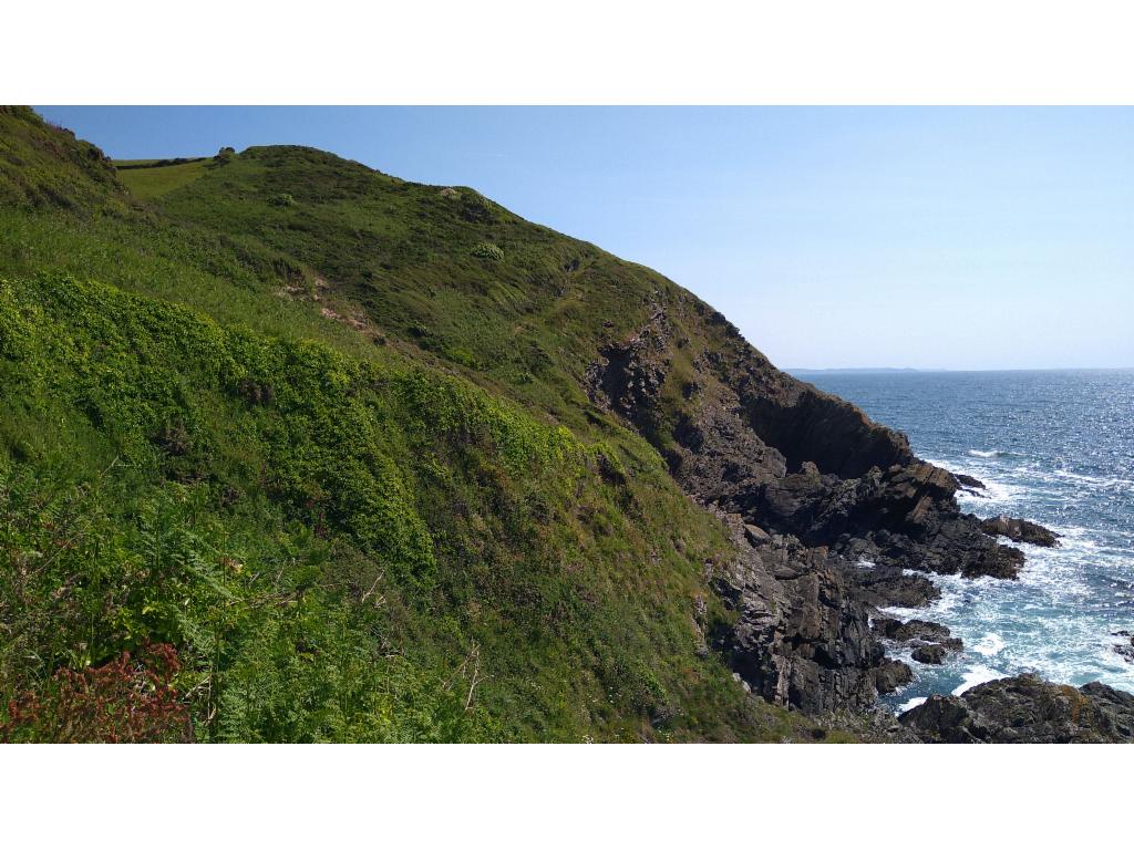 View backwards before Neadland Point